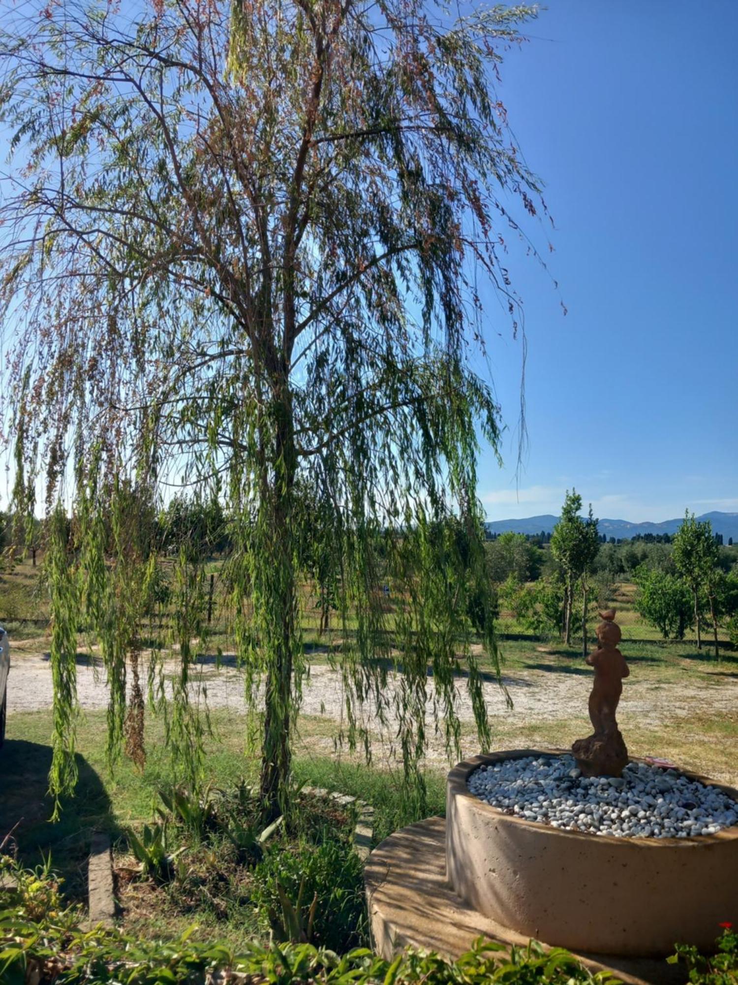 Azienda Agrituristica Le Betulle Риоторто Экстерьер фото